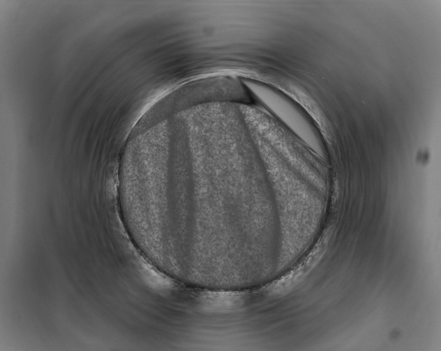 X0000099521377200806121452