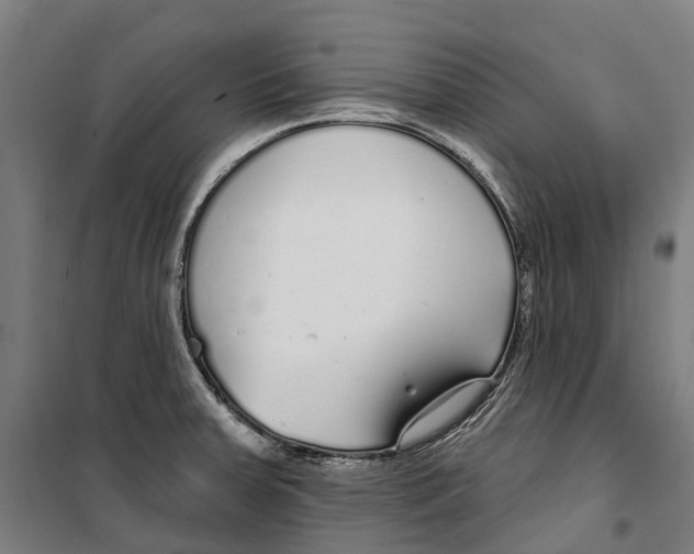 X0000099521379200806121452