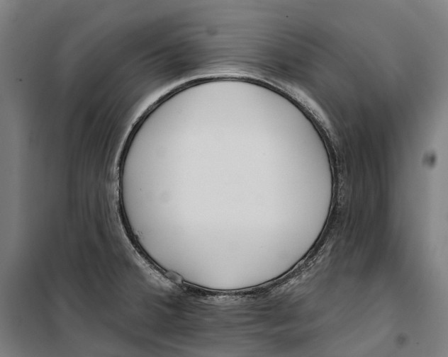 X0000099521380200806121452