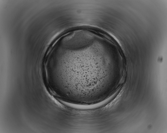 X0000099521381200806121452