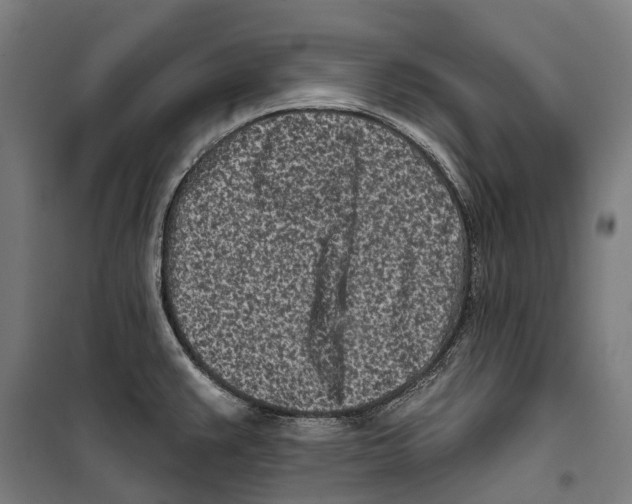 X0000099521383200806121452