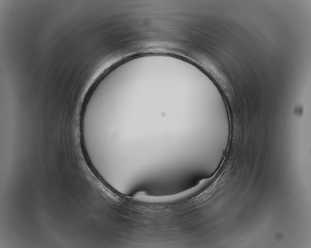 X0000099521384200806121452