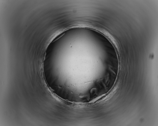 X0000099521385200806121452