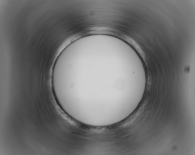 X0000099521386200806121452