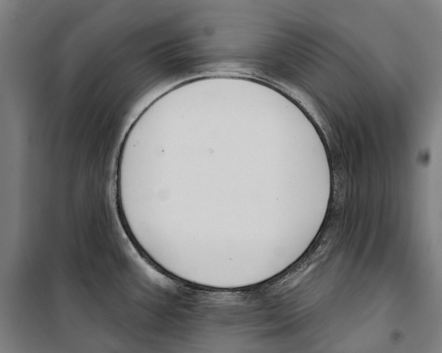 X0000099521387200806121452