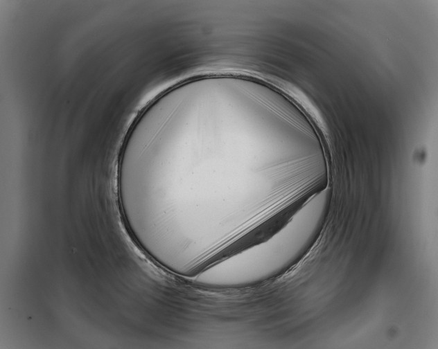 X0000099521388200806121452