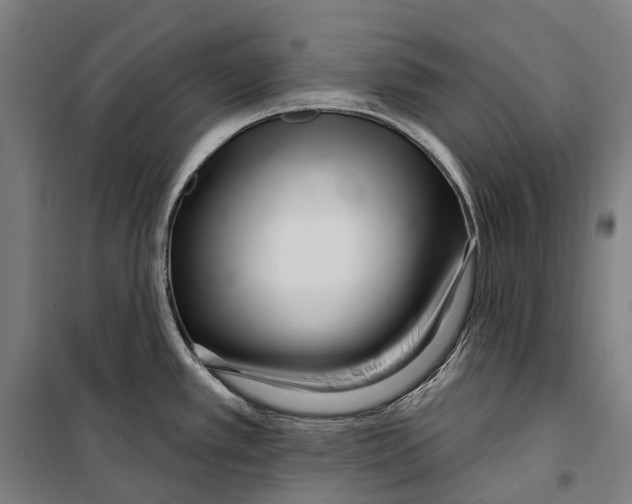 X0000099521389200806121452