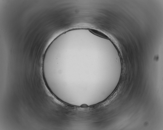 X0000099521390200806121452