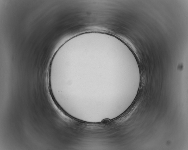 X0000099521391200806121452