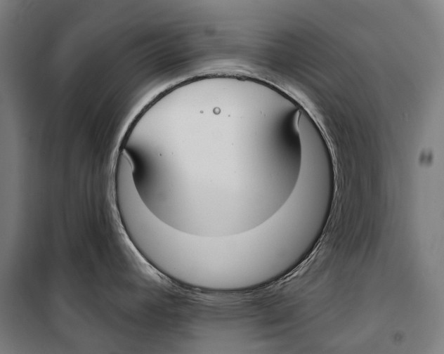 X0000099521392200806121452