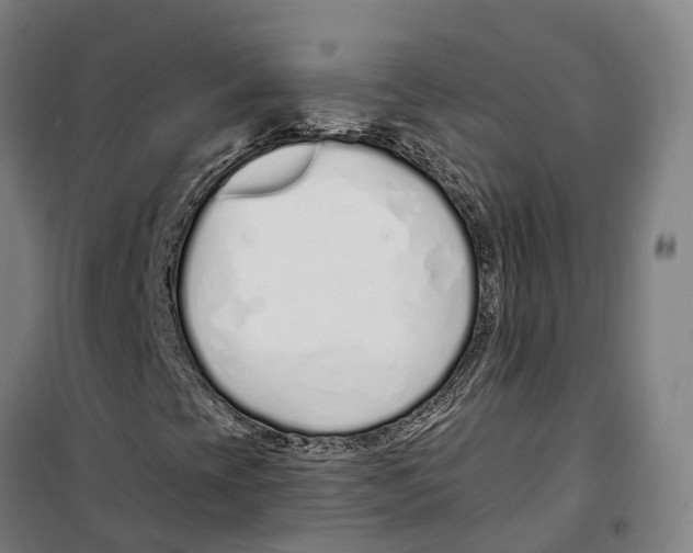 X0000099521393200806121451