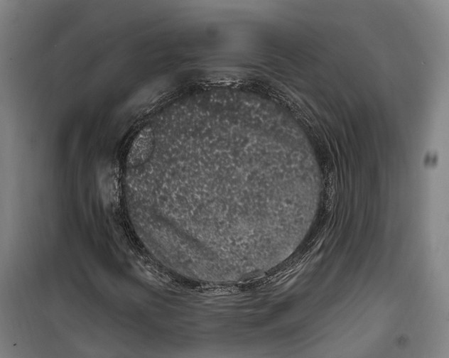 X0000099521394200806121451