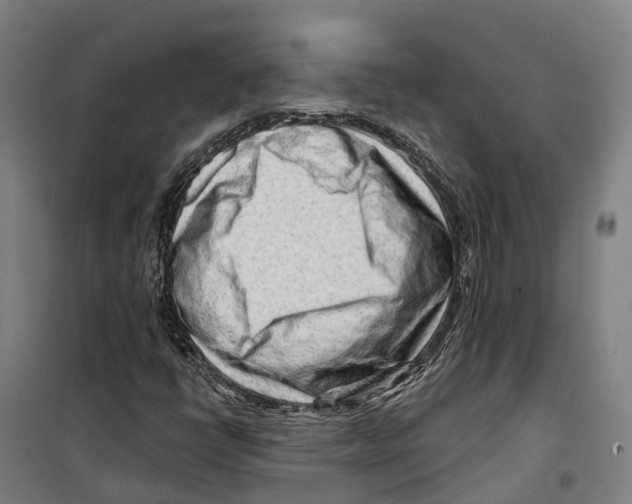 X0000099521398200806121451