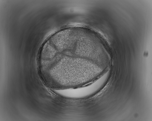 X0000099521405200806121451