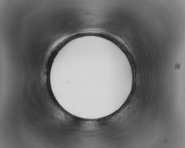 X0000099521406200806121451