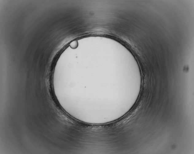 X0000099521410200806121451