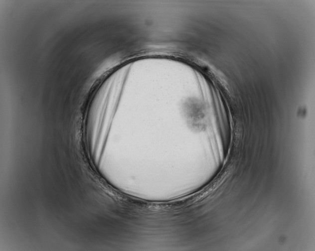 X0000099521411200806121452