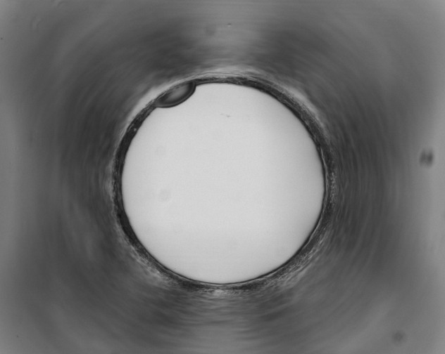 X0000099521412200806121452