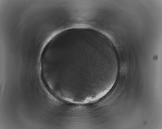 X0000099521414200806121452