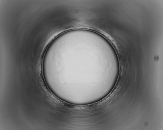 X0000099521415200806121452