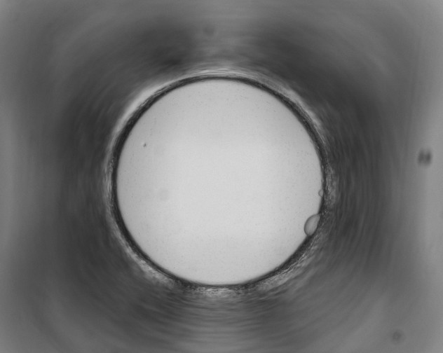 X0000099521416200806121452