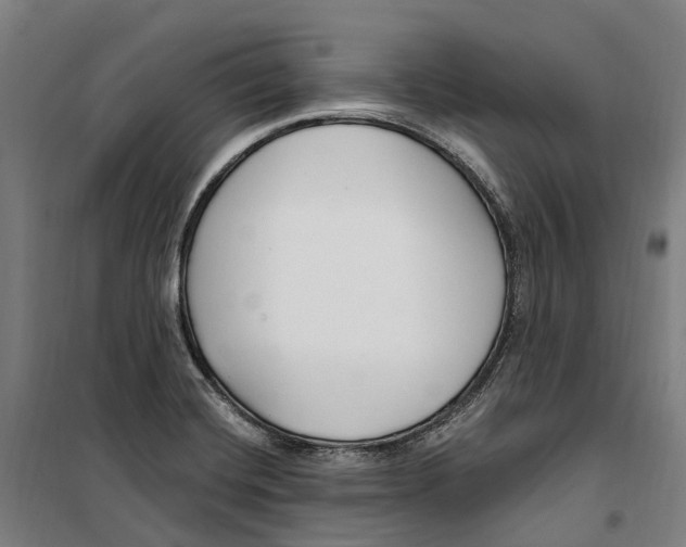 X0000099521420200806121452