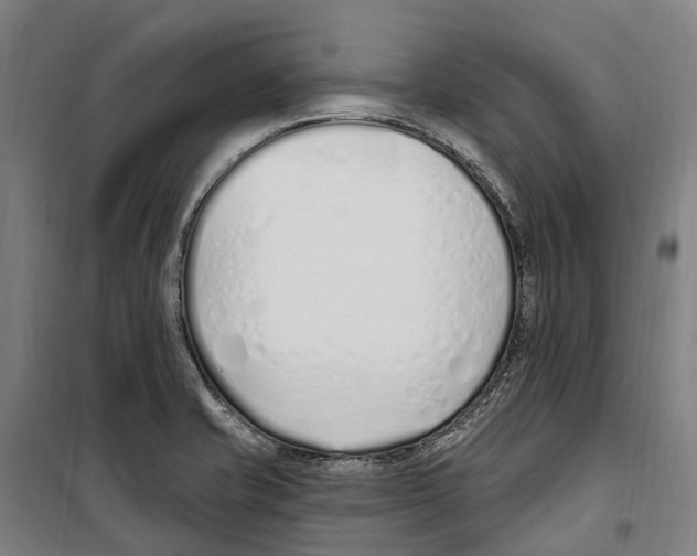 X0000099521421200806121452