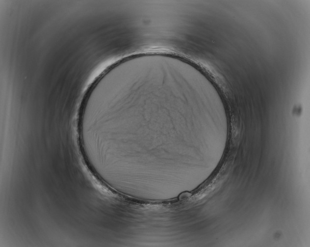 X0000099521422200806121452