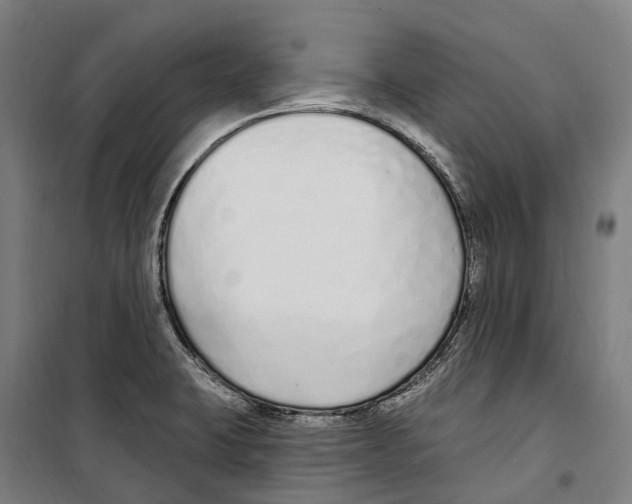 X0000099521423200806121452