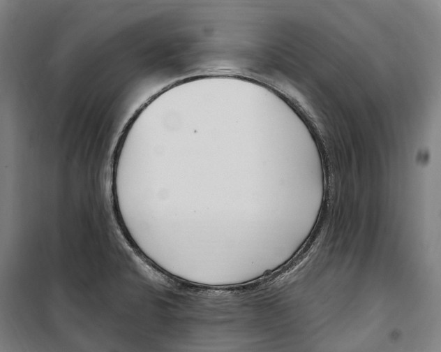 X0000099521424200806121452