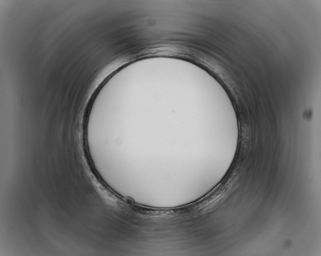 X0000099521426200806121452