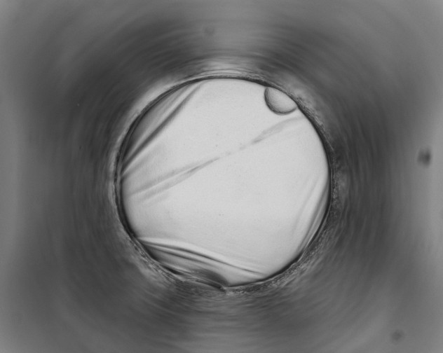 X0000099521427200806121452