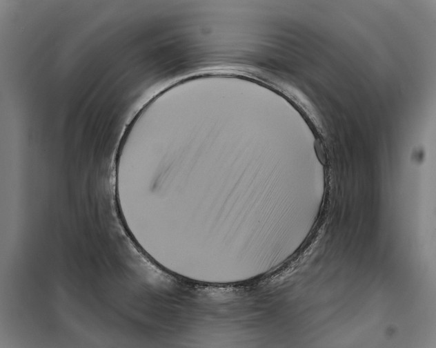 X0000099521428200806121452