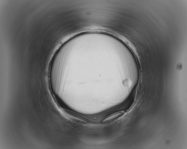 X0000099521429200806121452