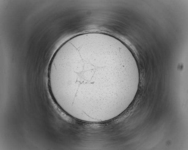 X0000099521431200806121452