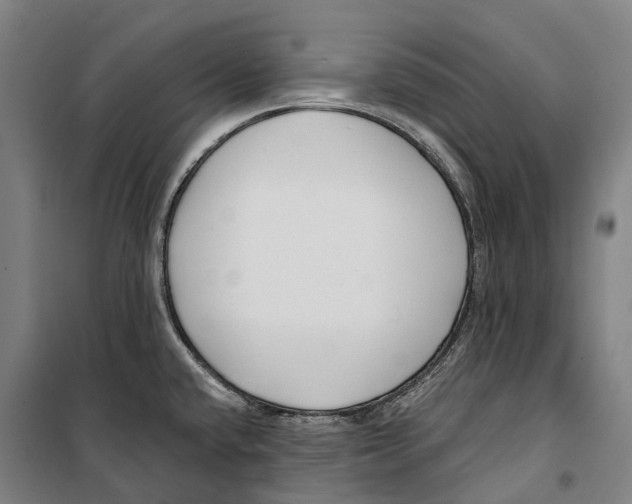 X0000099521432200806121452