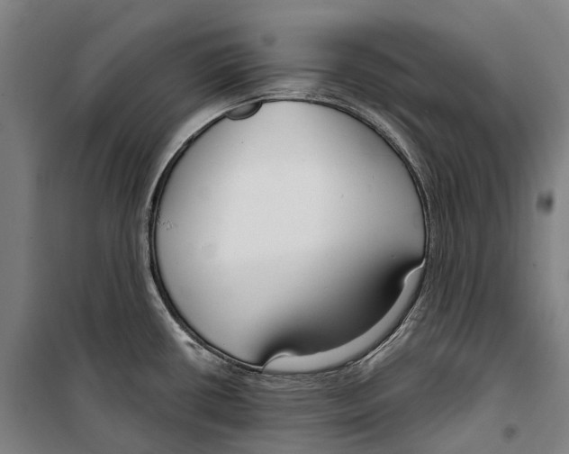 X0000099521434200806121452