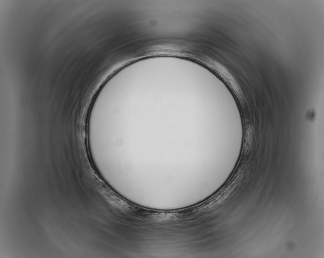 X0000099521435200806121452