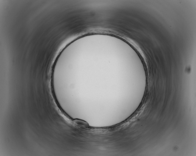 X0000099521437200806121452