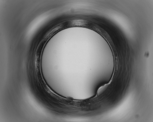 X0000099521438200806121452