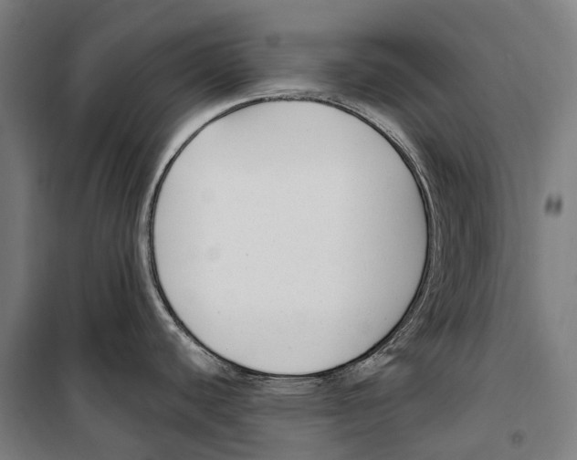 X0000099521440200806121452