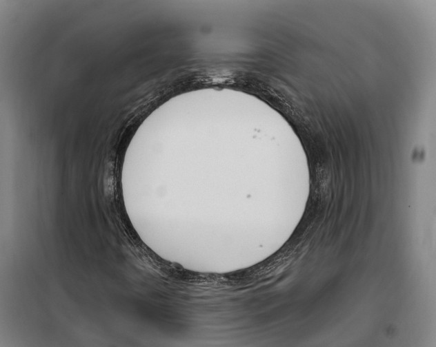 X0000099521442200806121451