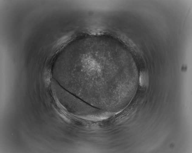 X0000099521444200806121451