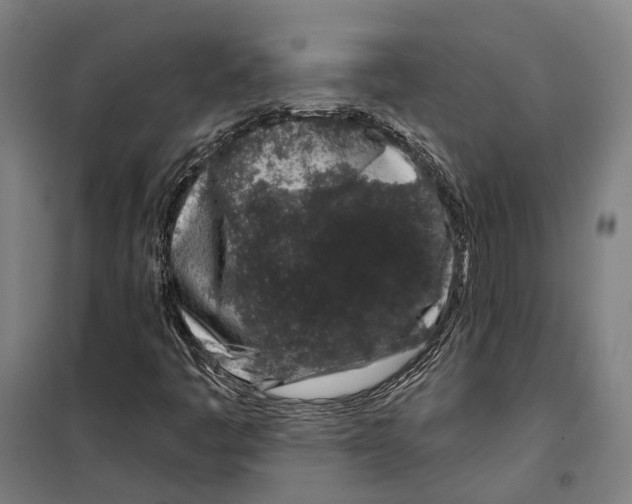 X0000099521445200806121451