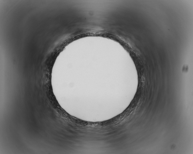 X0000099521447200806121451