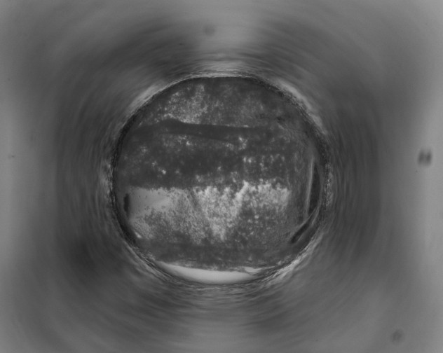 X0000099521449200806121451