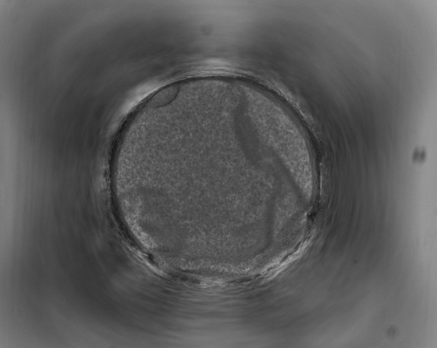 X0000099521453200806121451