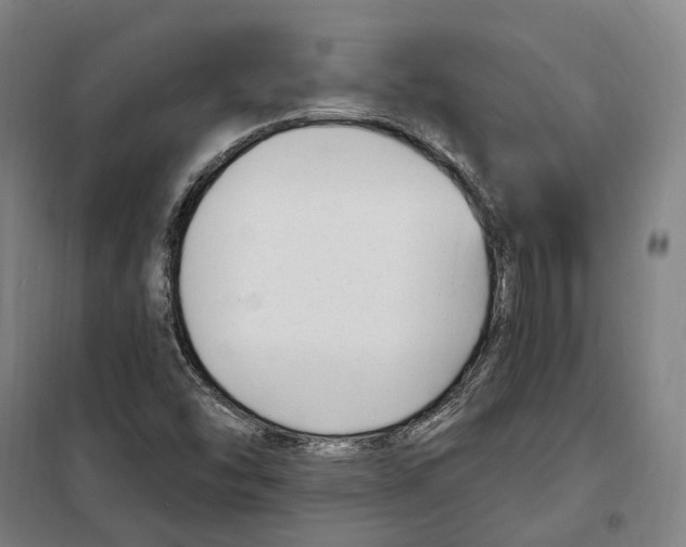 X0000099521454200806121451