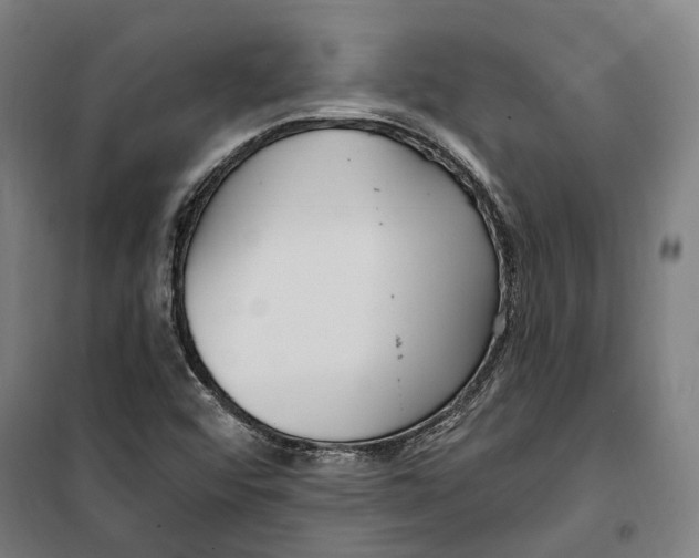 X0000099521456200806121451