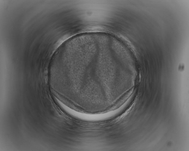 X0000099521457200806121451